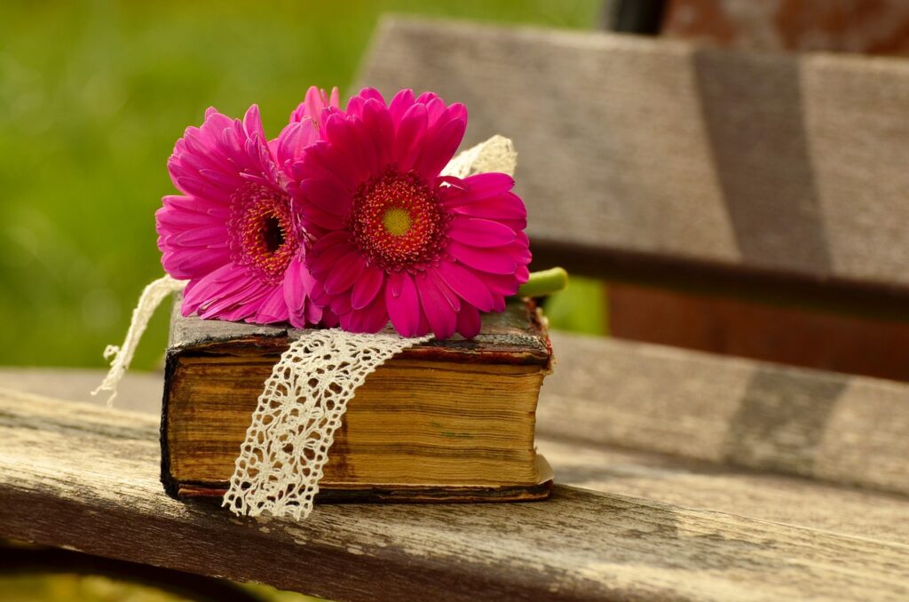 gerbera, pink, flower-1250287.jpg