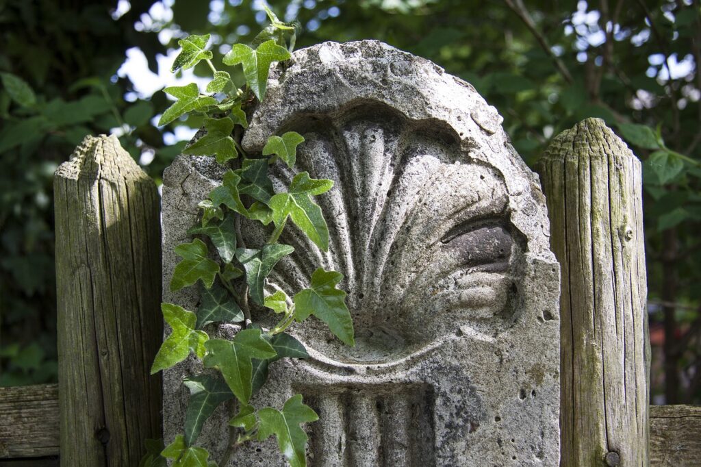 jakobsweg, camino de santiago, pilgrimage, character, symbol, shell, post, fence, ivy, tendrils, jakobsweg, jakobsweg, jakobsweg, jakobsweg, jakobsweg, pilgrimage, pilgrimage, pilgrimage