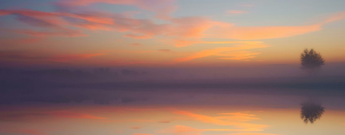 Tranquil sunrise with colorful sky reflecting over calm waters and a lone tree.