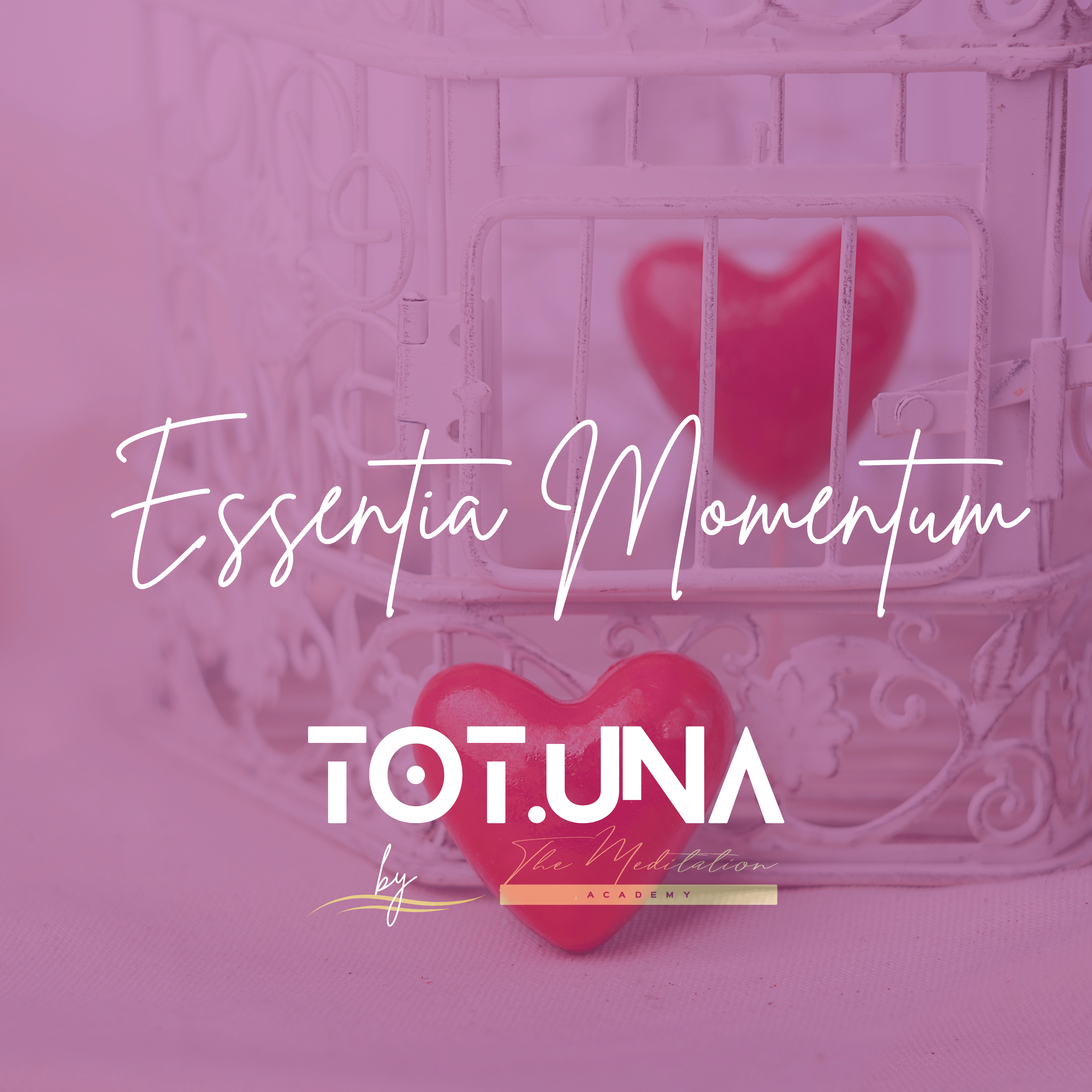 essentia momentum 9