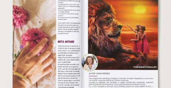 Sectiune Vindecare TotUna 8
